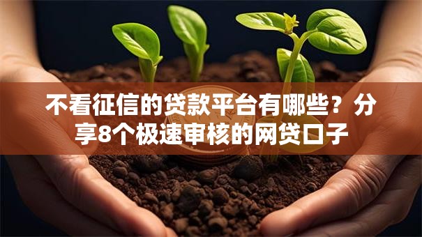 不看征信的贷款平台有哪些？分享8个极速审核的网贷口子