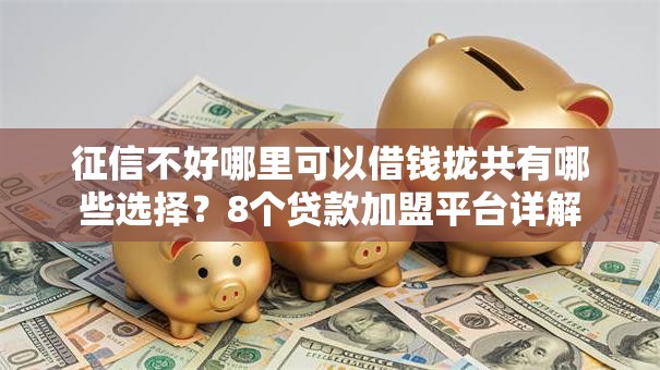 征信不好哪里可以借钱拢共有哪些选择？8个贷款加盟平台详解