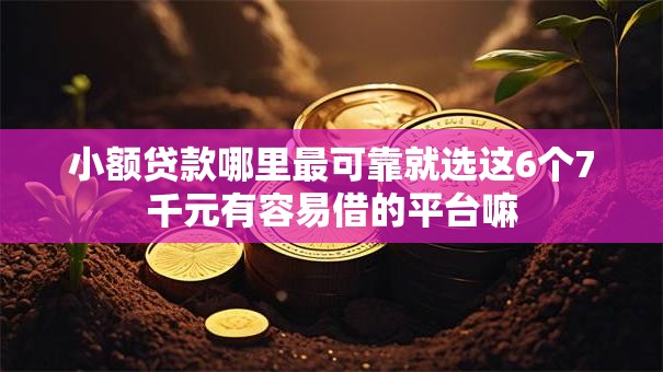 小额贷款哪里最可靠就选这6个7千元有容易借的平台嘛