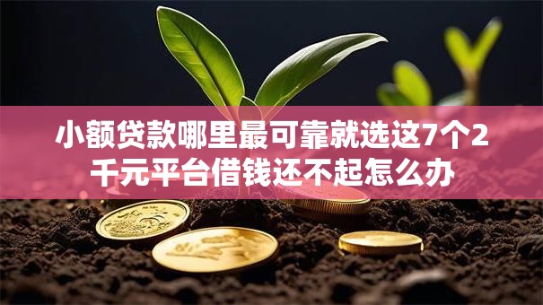 小额贷款哪里最可靠就选这7个2千元平台借钱还不起怎么办