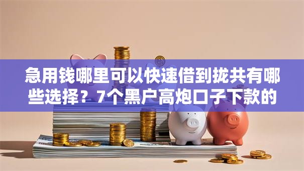 急用钱哪里可以快速借到拢共有哪些选择？7个黑户高炮口子下款的2025详解