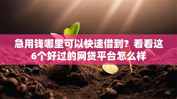 急用钱哪里可以快速借到?看看这6个好过的网贷平台怎么样 急用钱哪里可以快速借到?看看这6个好过的网贷平台怎么样