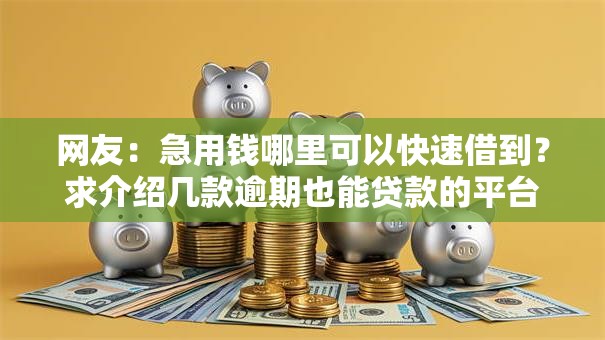 网友:急用钱哪里可以快速借到?求介绍几款逾期也能贷款的平台 网友:急用钱哪里可以快速借到?求介绍几款逾期也能贷款的平台