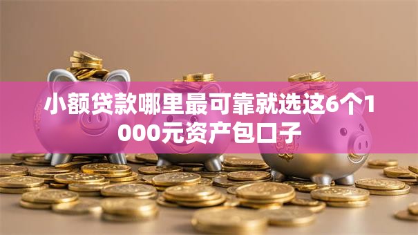 小额贷款哪里最可靠就选这6个1000元资产包口子 小额贷款哪里最可靠就选这6个1000元资产包口子