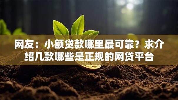 网友:小额贷款哪里最可靠?求介绍几款哪些是正规的网贷平台 网友:小额贷款哪里最可靠?求介绍几款哪些是正规的网贷平台