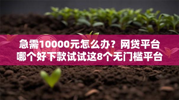 急需10000元怎么办?网贷平台哪个好下款试试这8个无门槛平台 急需10000元怎么办?网贷平台哪个好下款试试这8个无门槛平台