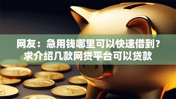 网友:急用钱哪里可以快速借到?求介绍几款网贷平台可以贷款 网友:急用钱哪里可以快速借到?求介绍几款网贷平台可以贷款