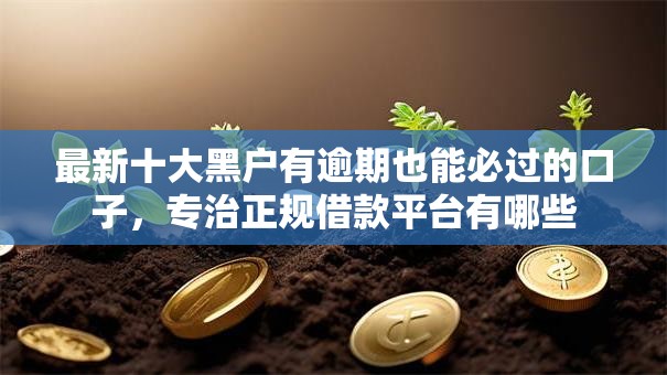 最新十大黑户有逾期也能必过的口子,专治正规借款平台有哪些 最新十大黑户有逾期也能必过的口子,专治正规借款平台有哪些