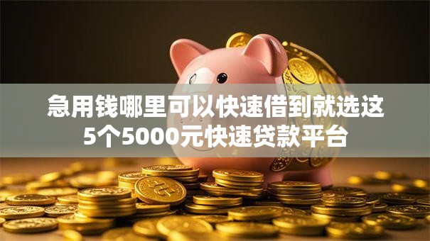 急用钱哪里可以快速借到就选这5个5000元快速贷款平台 急用钱哪里可以快速借到就选这5个5000元快速贷款平台