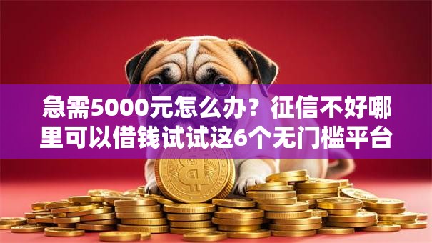 急需5000元怎么办?征信不好哪里可以借钱试试这6个无门槛平台 急需5000元怎么办?征信不好哪里可以借钱试试这6个无门槛平台