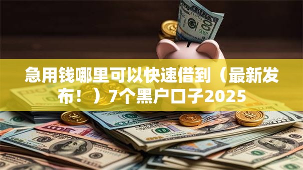 急用钱哪里可以快速借到(最新发布!)7个黑户口子2025 急用钱哪里可以快速借到(最新发布!)7个黑户口子2025