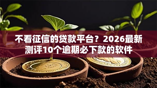 不看征信的贷款平台?2026最新测评10个逾期必下款的软件 不看征信的贷款平台?2026最新测评10个逾期必下款的软件