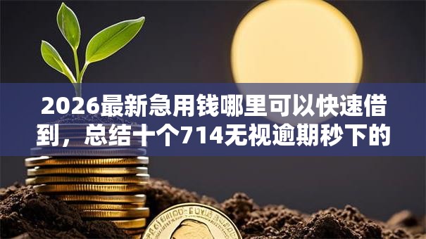 2026最新急用钱哪里可以快速借到,总结十个714无视逾期秒下的平台! 2026最新急用钱哪里可以快速借到,总结十个714无视逾期秒下的平台!