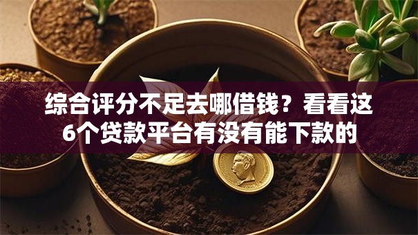 综合评分不足去哪借钱?看看这6个贷款平台有没有能下款的 综合评分不足去哪借钱?看看这6个贷款平台有没有能下款的