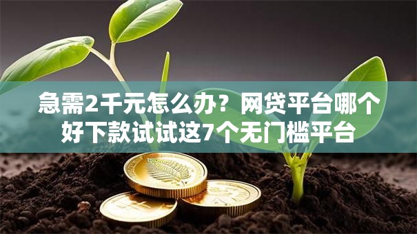 急需2千元怎么办?网贷平台哪个好下款试试这7个无门槛平台 急需2千元怎么办?网贷平台哪个好下款试试这7个无门槛平台