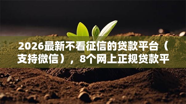 2026最新不看征信的贷款平台(支持微信),8个网上正规贷款平台无私分享 2026最新不看征信的贷款平台(支持微信),8个网上正规贷款平台无私分享