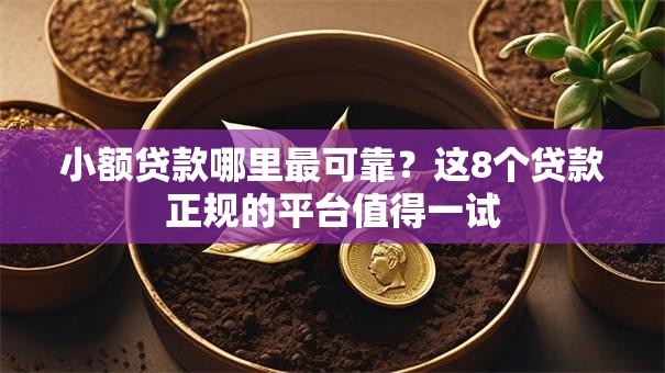 小额贷款哪里最可靠？这8个贷款正规的平台值得一试