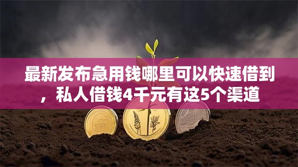 最新发布急用钱哪里可以快速借到，私人借钱4千元有这5个渠道