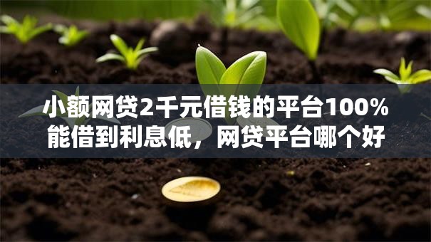 小额网贷2千元借钱的平台100%能借到利息低，网贷平台哪个好下款的8个平台介绍