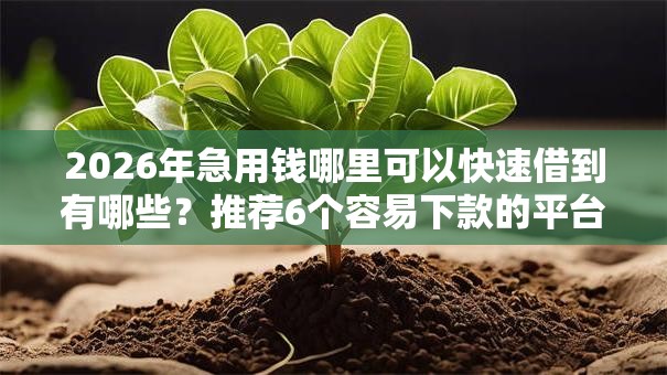 2026年急用钱哪里可以快速借到有哪些?推荐6个容易下款的平台 2026年急用钱哪里可以快速借到有哪些?推荐6个容易下款的平台