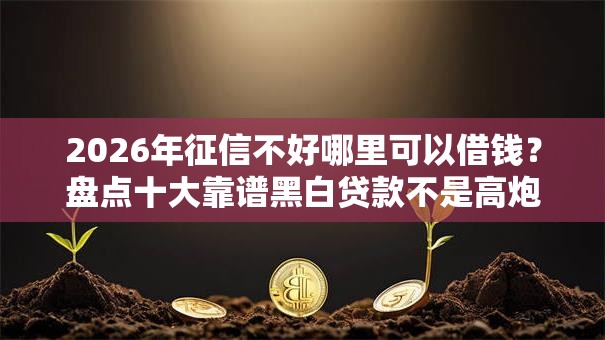 2026年征信不好哪里可以借钱？盘点十大靠谱黑白贷款不是高炮的口子