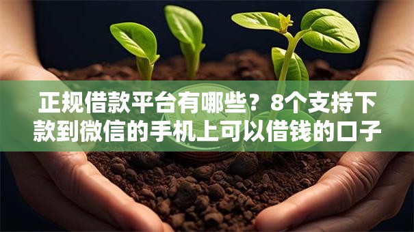 正规借款平台有哪些?8个支持下款到微信的手机上可以借钱的口子 正规借款平台有哪些?8个支持下款到微信的手机上可以借钱的口子