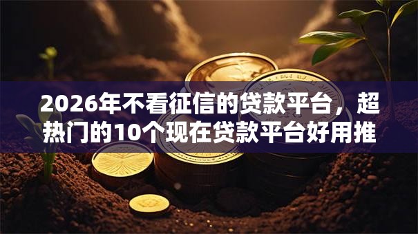 2026年不看征信的贷款平台,超热门的10个现在贷款平台好用推荐 2026年不看征信的贷款平台,超热门的10个现在贷款平台好用推荐
