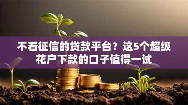 不看征信的贷款平台?这5个超级花户下款的口子值得一试 不看征信的贷款平台?这5个超级花户下款的口子值得一试