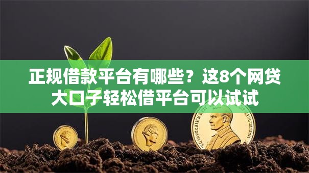 正规借款平台有哪些？这8个网贷大口子轻松借平台可以试试