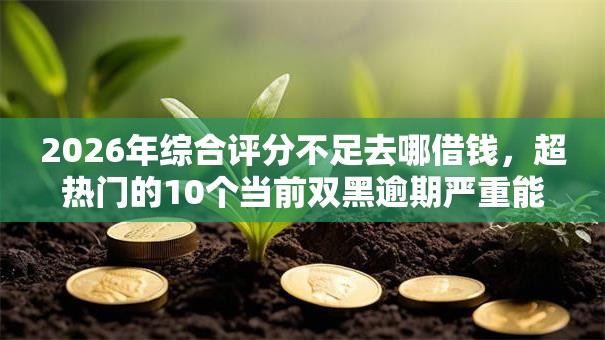 2026年综合评分不足去哪借钱,超热门的10个当前双黑逾期严重能下款的平台推荐 2026年综合评分不足去哪借钱,超热门的10个当前双黑逾期严重能下款的平台推荐