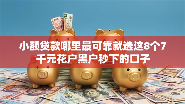 小额贷款哪里最可靠就选这8个7千元花户黑户秒下的口子 小额贷款哪里最可靠就选这8个7千元花户黑户秒下的口子