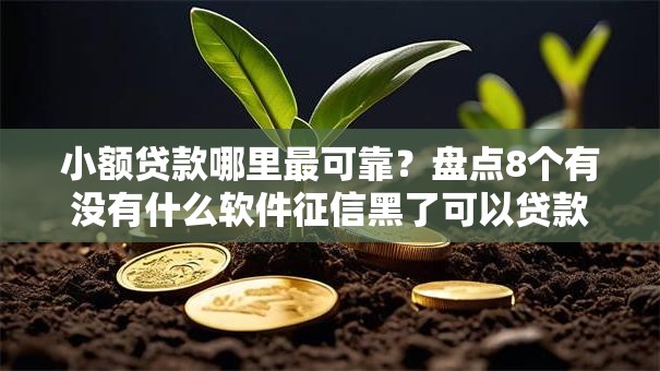 小额贷款哪里最可靠?盘点8个有没有什么软件征信黑了可以贷款给你参考 小额贷款哪里最可靠?盘点8个有没有什么软件征信黑了可以贷款给你参考