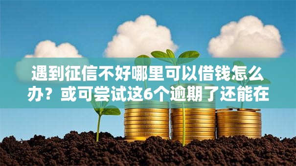 遇到征信不好哪里可以借钱怎么办?或可尝试这6个逾期了还能在平台贷款 遇到征信不好哪里可以借钱怎么办?或可尝试这6个逾期了还能在平台贷款