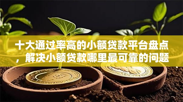 十大通过率高的小额贷款平台盘点，解决小额贷款哪里最可靠的问题