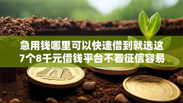急用钱哪里可以快速借到就选这7个8千元借钱平台不看征信容易通过 急用钱哪里可以快速借到就选这7个8千元借钱平台不看征信容易通过