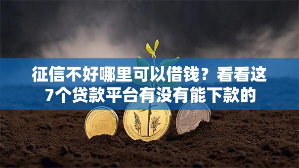 征信不好哪里可以借钱?看看这7个贷款平台有没有能下款的 征信不好哪里可以借钱?看看这7个贷款平台有没有能下款的