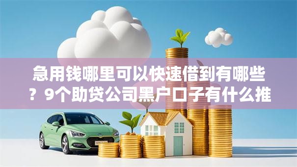 急用钱哪里可以快速借到有哪些？9个助贷公司黑户口子有什么推荐给你