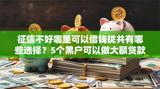 征信不好哪里可以借钱拢共有哪些选择?5个黑户可以做大额贷款口子详解 征信不好哪里可以借钱拢共有哪些选择?5个黑户可以做大额贷款口子详解