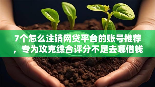 7个怎么注销网贷平台的账号推荐,专为攻克综合评分不足去哪借钱难题 7个怎么注销网贷平台的账号推荐,专为攻克综合评分不足去哪借钱难题