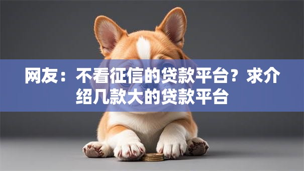 网友：不看征信的贷款平台？求介绍几款大的贷款平台