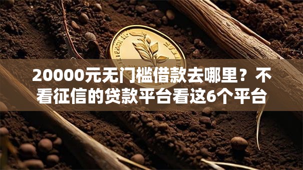 20000元无门槛借款去哪里？不看征信的贷款平台看这6个平台