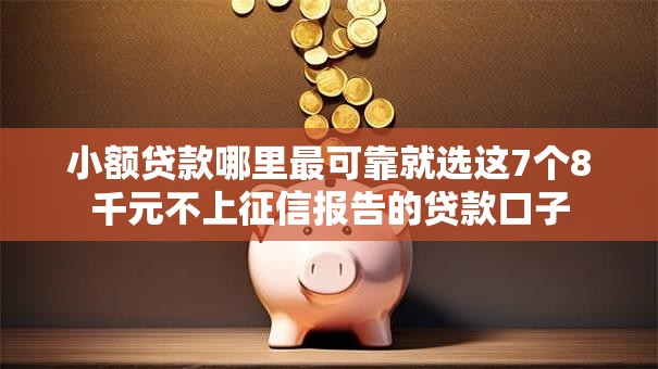 小额贷款哪里最可靠就选这7个8千元不上征信报告的贷款口子 小额贷款哪里最可靠就选这7个8千元不上征信报告的贷款口子