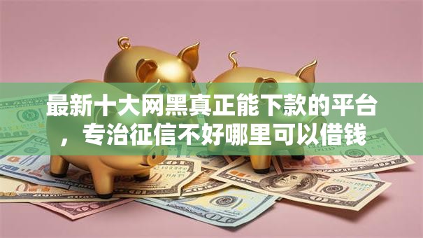 最新十大网黑真正能下款的平台，专治征信不好哪里可以借钱