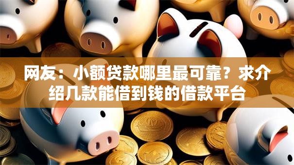 网友：小额贷款哪里最可靠？求介绍几款能借到钱的借款平台