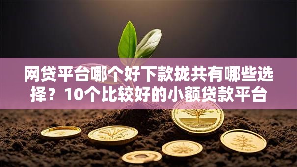 网贷平台哪个好下款拢共有哪些选择？10个比较好的小额贷款平台详解