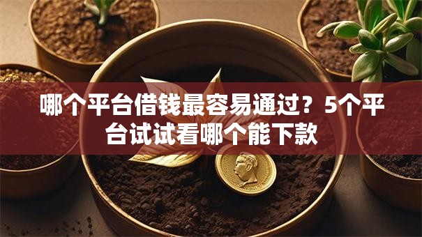哪个平台借钱最容易通过？5个平台试试看哪个能下款