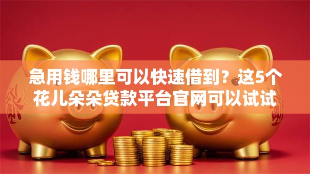 急用钱哪里可以快速借到？这5个花儿朵朵贷款平台官网可以试试