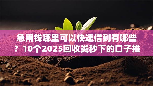 急用钱哪里可以快速借到有哪些？10个2025回收类秒下的口子推荐给你