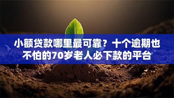 小额贷款哪里最可靠?十个逾期也不怕的70岁老人必下款的平台 小额贷款哪里最可靠?十个逾期也不怕的70岁老人必下款的平台