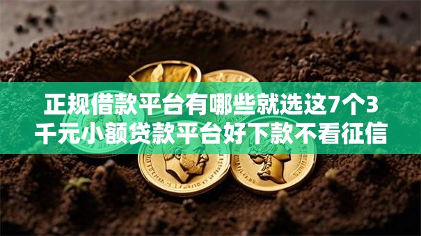 正规借款平台有哪些就选这7个3千元小额贷款平台好下款不看征信
